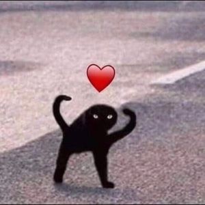 Meet your Posher, Riley